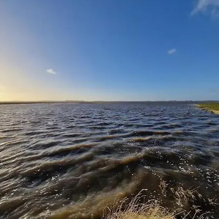Flut An Der Nordsee Bis 14 Personen Mit Hund